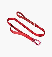 BuddyArmor Nylon Dog Leash Heavy Duty Lightweight w/Traffic Handle and Elastic Two Handles, Carab...