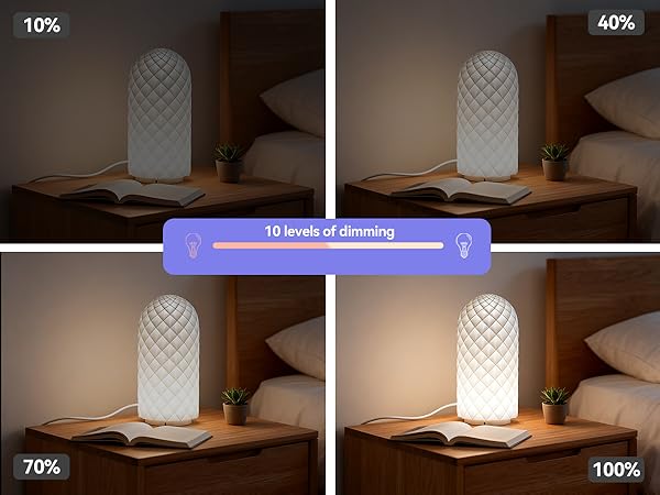 10 levels of dimming