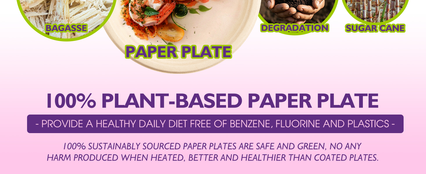 Compostable Paper Plates