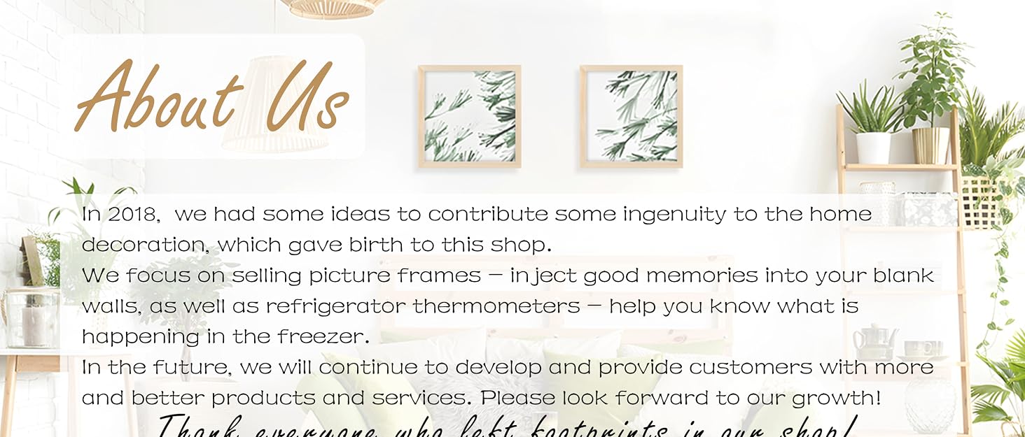 picture frames