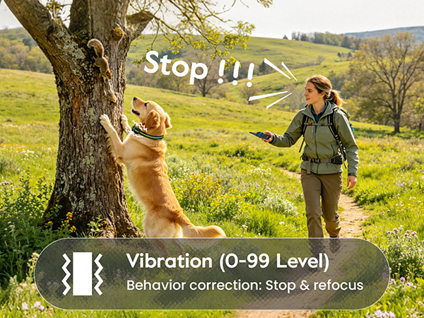 dog shock collar with remote control