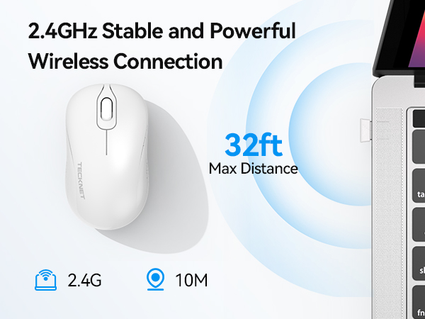 mouse