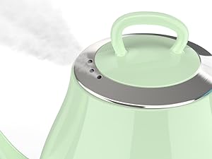 safe steam outlet