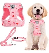 PUPTECK Adjustable Dog Harness Collar and Leash Set Step in No Pull Pet Harness for Small Medium ...