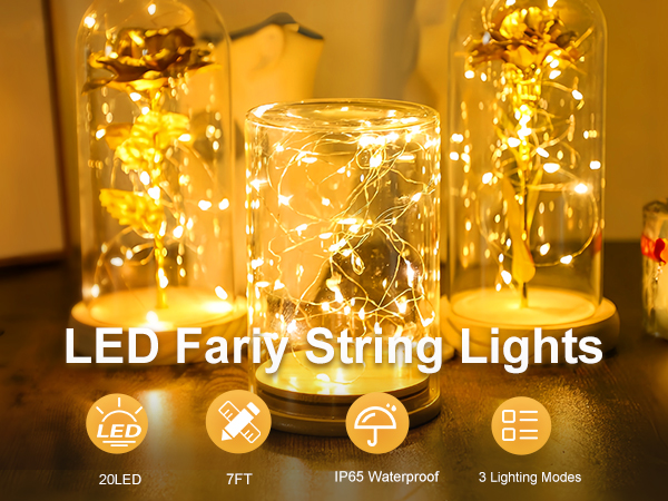 fairy lights