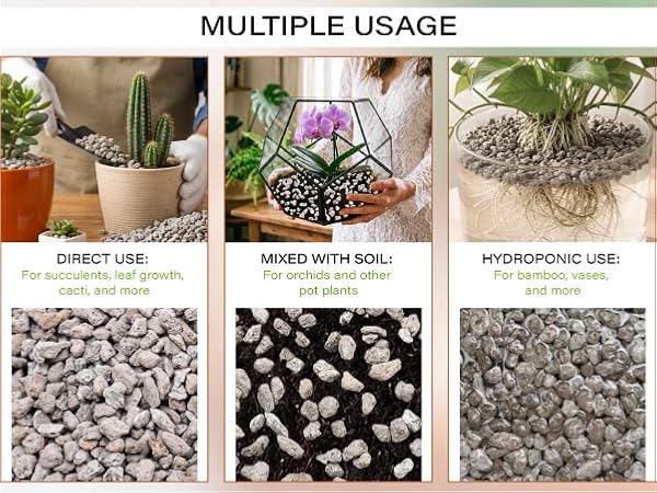 pumice for plant