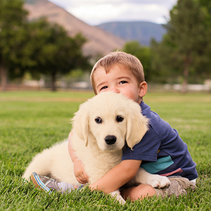 training bells for puppies