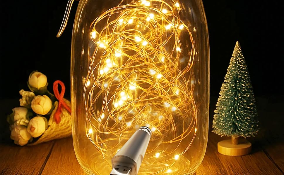 Fairy Lights, twinkle lights, mini string lights, mini lights, rechargeable Fairy Lights