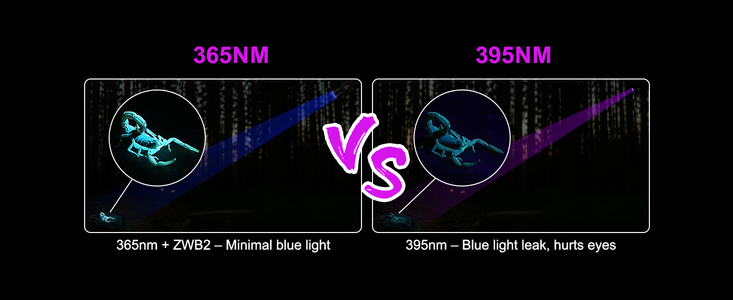 black light flashlight