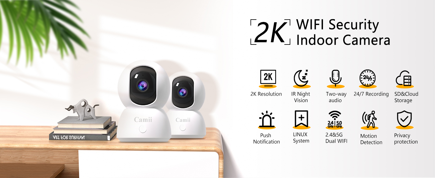 indoor camera