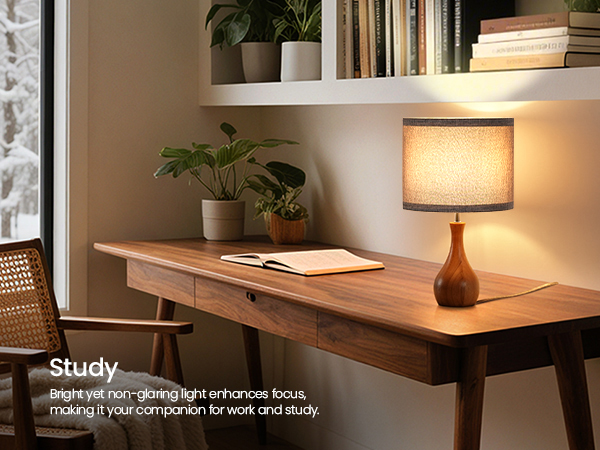 LH09TL05 Table Lamp