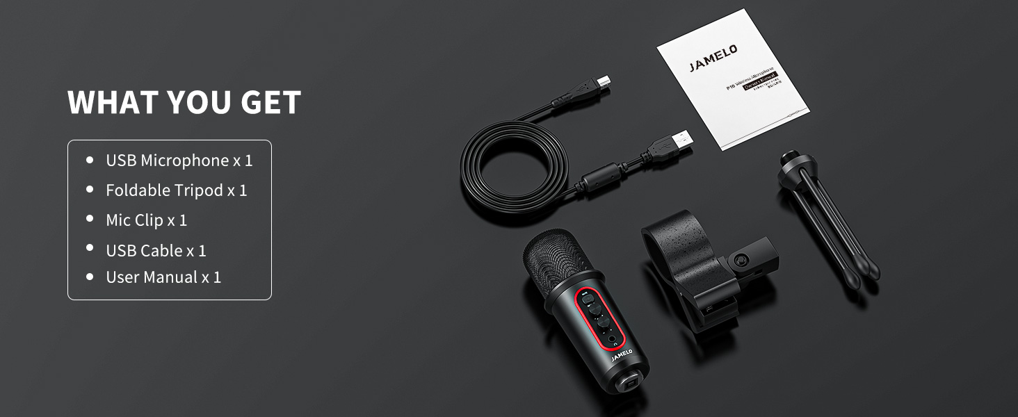 USB Computer Condenser Mic