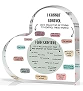 Mental Health Decor, Decor for Therapy Office School Counselor Sign Things I Can Control Acrylic ...