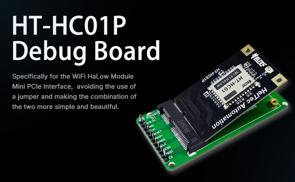 IoT Development board