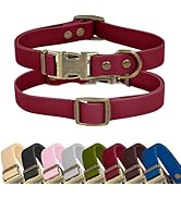 Wisedog Rubber Dog Collar for Medium Dogs - Waterproof Dog Collar with Quick Release Metal Buckle...