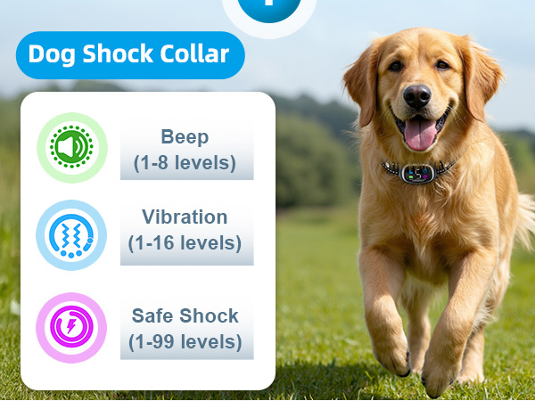 2-in-1 Dog Shock Collar and Bark Collar