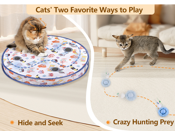 cat toy ball