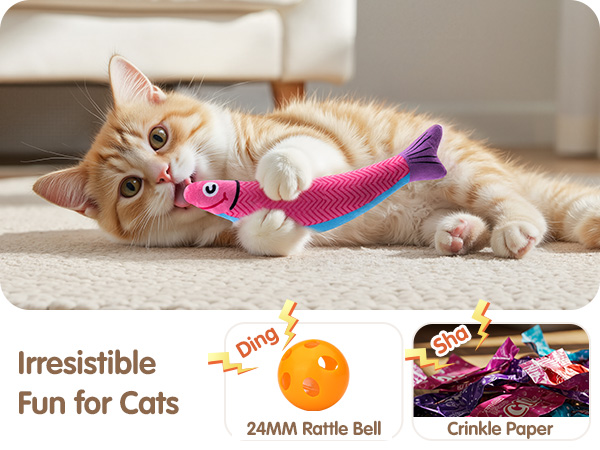 cat toy