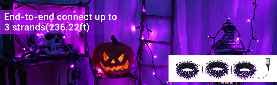 Purple string lights