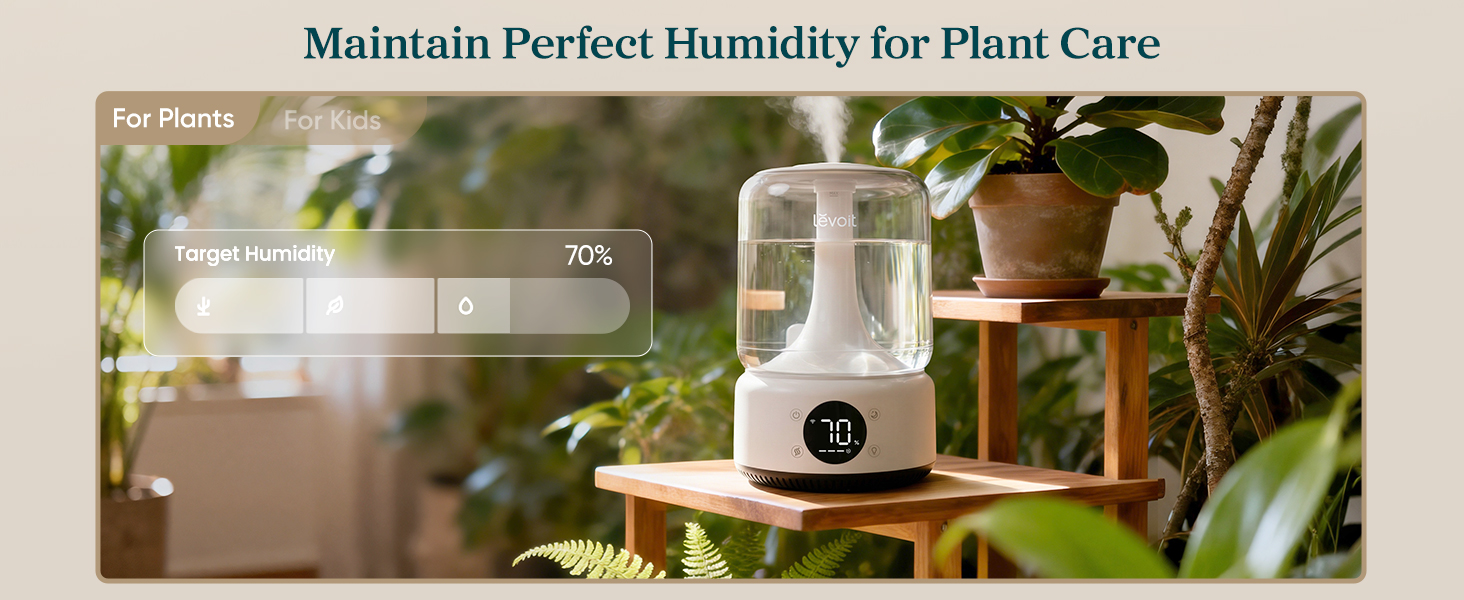 Provide plants with more suitable humidity