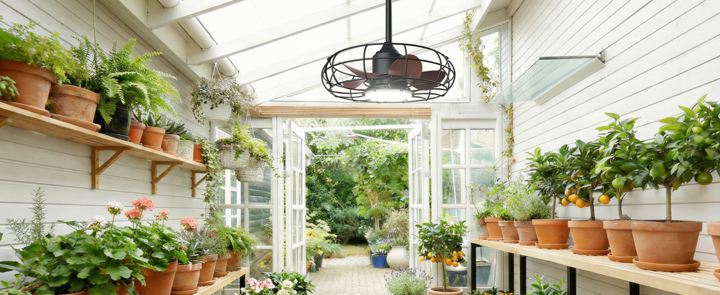 ceiling fan