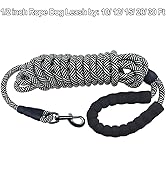 long dog leash