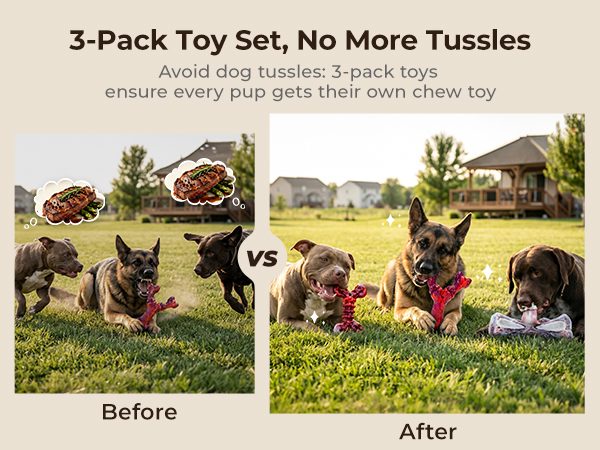 3-Pack Chew Toys: End Dog Toy Squabbles & Easy Rotation