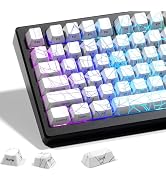 HITIME x XVX Shine Through Keycaps w/IMD Tech, Custom Spider Web Keycaps 60 75 100 Percent, White...