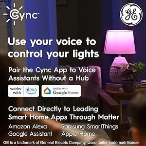 matter voice control