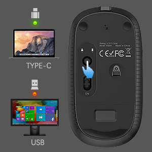 black type C mouse