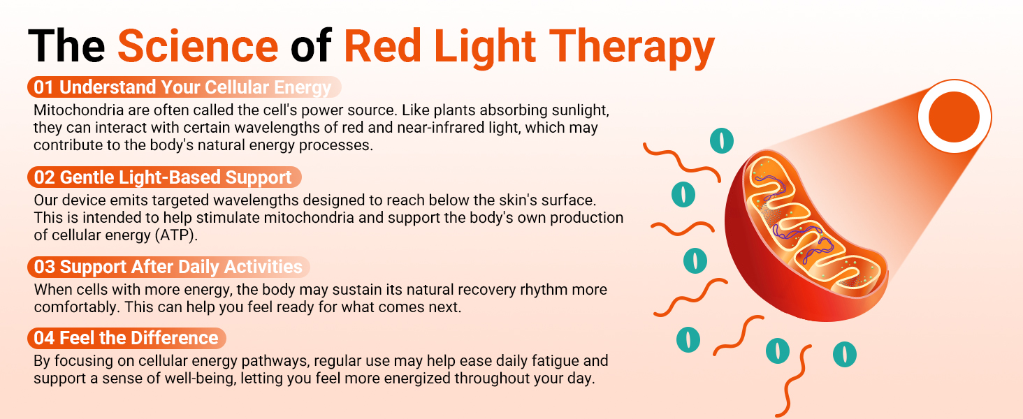 red light therapy belt with vibration massage