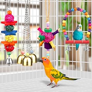 parrot toy