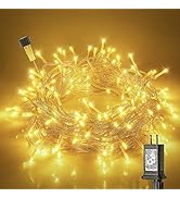 Hopolon 33ft Christmas Decorative Mini Lights, 100 LED Warm White Fairy Starry String Lights Plug...