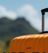 luggage tags