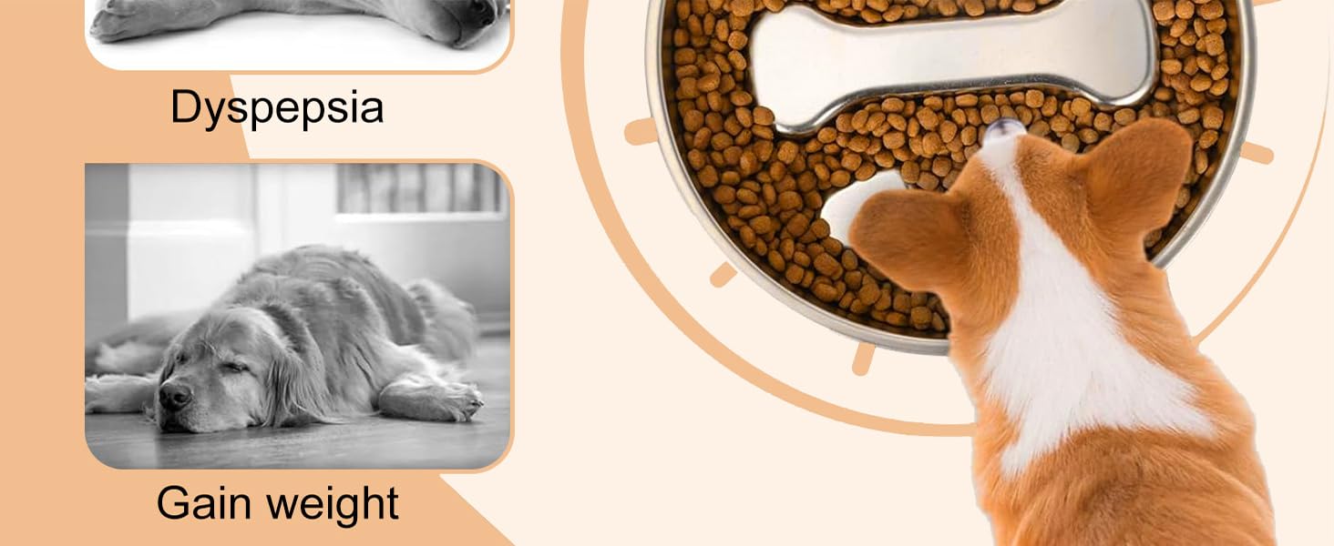 Stainless Steel Slow Feeder Dog Bowls