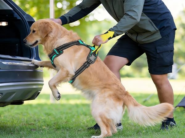 dog harness with handle