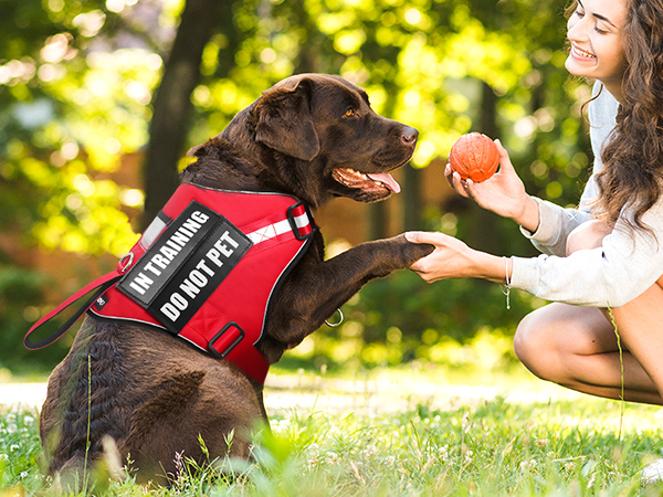 emotional support dog harness red