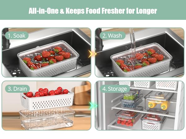 fruit containers for fridge