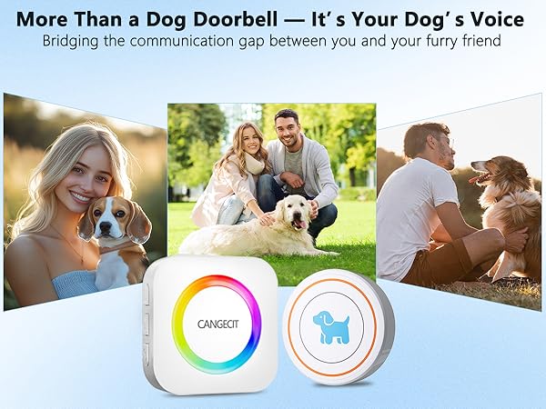 dog door bell