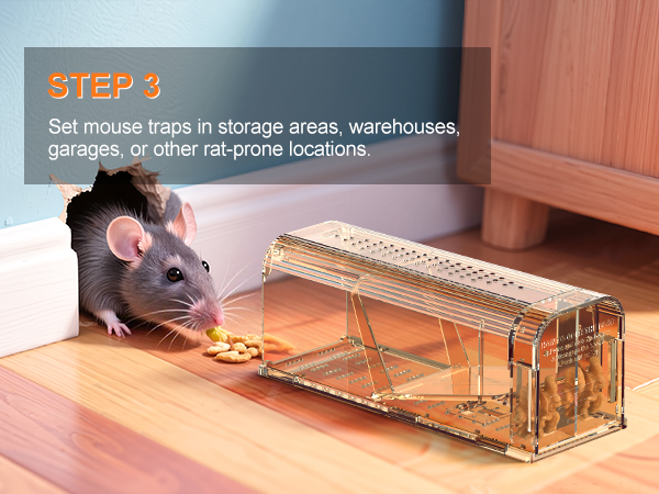 no kill mouse traps