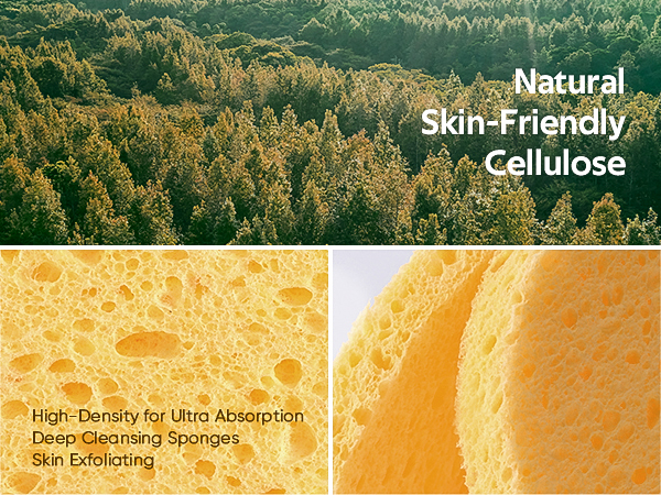 facial sponges