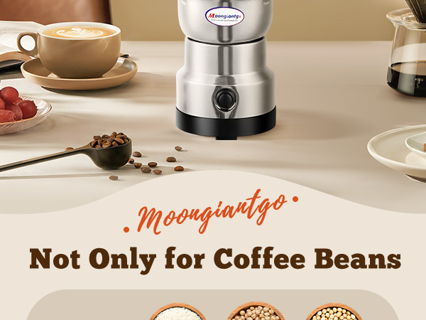 Electric 350W Mini Spice Grain Mill
