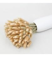 120pcs Dried Rabbit Tails, Natural Bulk Dried Flowers for Diy Bohemian Wedding Rustic Party Decor...