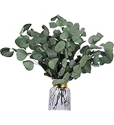 HIAGROW Real Eucalyptus Stems: 20PCS Dried Preserved Eucalyptus - Fresh Eucalyptus Silver Dollar ...