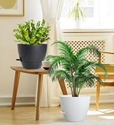 WSMKSZ 8/10/12inch Large Self Watering Pots