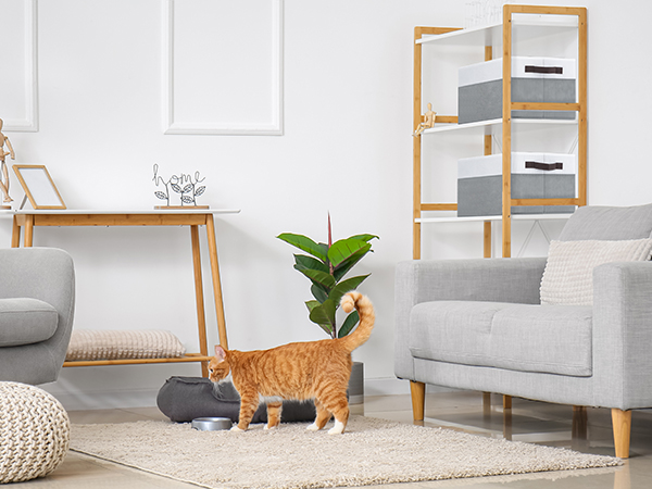 baskets for shelves