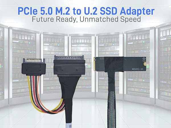 LetLinkSo Gen5 PCIe 5.0 U.2 to M.2 Adapter Card SFF-8639 to M2 NVMe SSD Cable