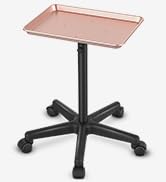 TASALON Premium Aluminum Salon Tray on Wheels, Height Adjustable Salon Tattoo Cart Tray, Styling ...