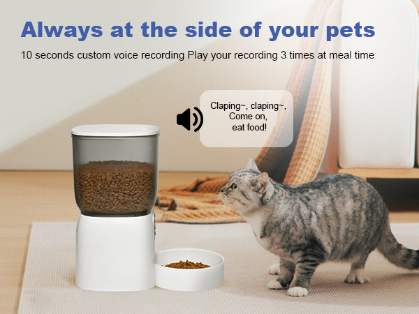 voice call for your pet