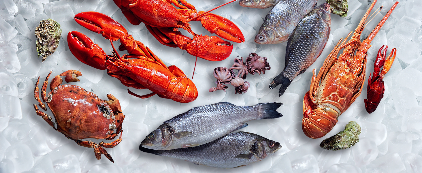 Countertop Ice Maker, Portable Ice Machine Self-Cleaning